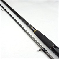 １３ラテオ１００ＭＨ－Ｑ